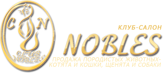 Club Nobles